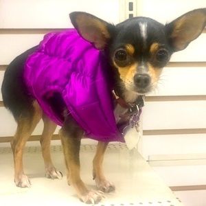 🐾PUFFER LINED COAT VEST🐾